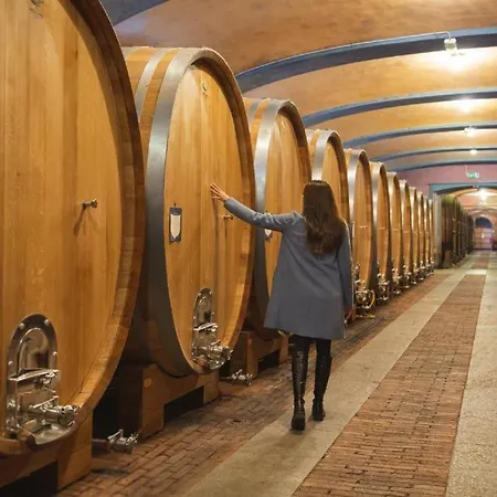 Hotel Villaggio Narrante - Foresteria Delle Vigne