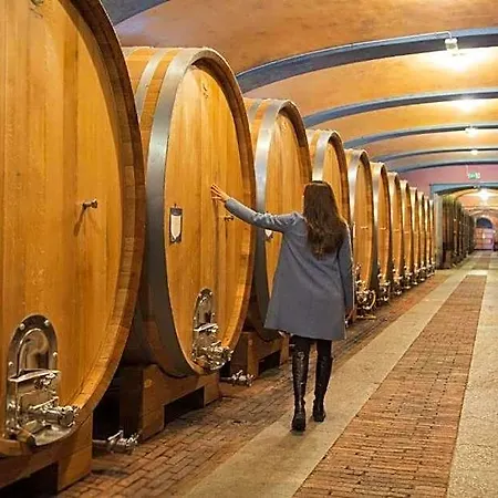 Отель Villaggio Narrante - Foresteria Delle Vigne 4*